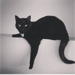 Meet your Posher, Kristel